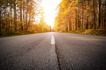 Fototapeta premium autumn road 