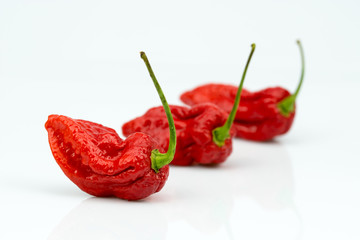 Bhut Jolokia Chili Reihe High Key