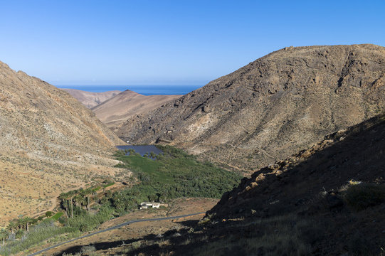 Landmark of Vega de Rio Palma, the palm valley, with its dam reservoir in Fuerteventura Canary Islands Spain near the village Betancuria.