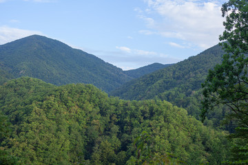 Fototapeta na wymiar Green forested mountains