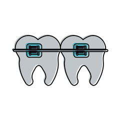 molar teeth with braces dentistry icon image vector illustration design 