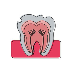chipped molar tooth inside dentistry icon image vector illustration design 