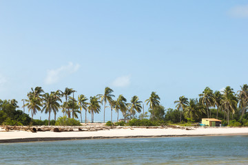 Paradise coast in the tropics.
