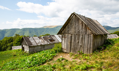 Fototapeta na wymiar old wooden houses on meadow in mountains