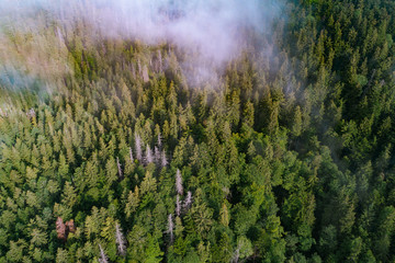 Aerial view of Carpathian mountains. Ukraine, Europe. Concept ecology protection.