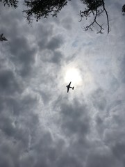 Vintage DC-3 flying over high above