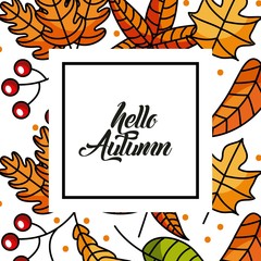 hello autumn season greeting card vector illustration