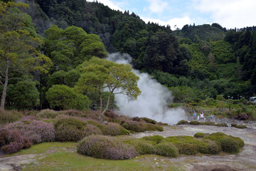Crater Lake in the valley of Furnas (Azores)