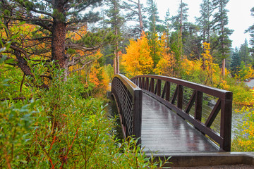 Walking bridge near Mammoth lakes in California