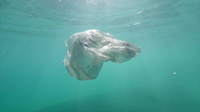 Trash floats in ocean, POV