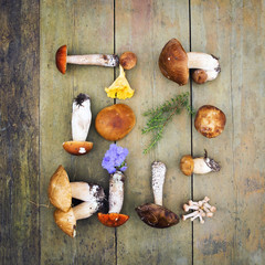 Autumn fungi. Porcini. Mushrooms. orange-cap boletus
