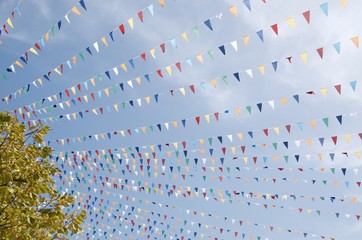 A small river in summer, Savoie department, Auvergne-Rh&ocirc;ne-Alpes region in France
