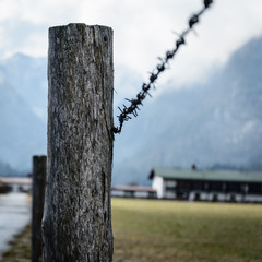 Holz Pfahl Stacheldraht Draht Weide