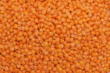 Background of orange lentils.