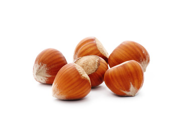 Hazelnuts isolated on white background