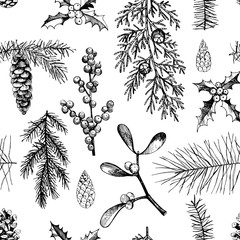 Vector pattern with hand-drawn Christmas plants .