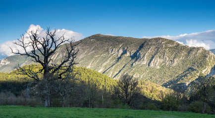 Obraz premium Regional nature park of the Azure PreAlps