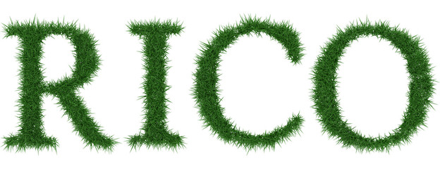 Rico - 3D rendering fresh Grass letters isolated on whhite background.