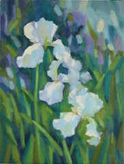 White irises in the sun, white irises painted in oil paints on canvas, picture