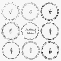 Set Of Hand Drawn Round Frames For Decoration. Vector Natural Collection. 