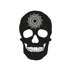 human remains of the skull bones