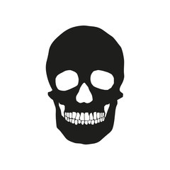 human remains of the skull bones