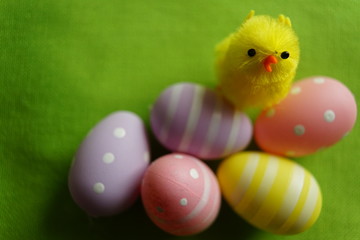 little chick and easter eggs