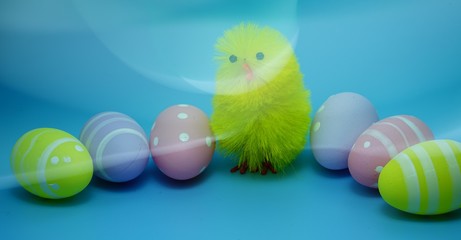 little chick and easter eggs