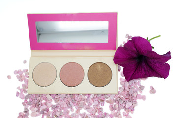 eye shadows, makeup eye, concept cosmetics