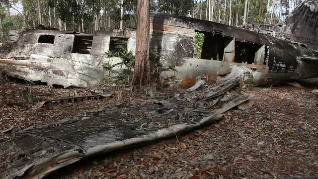 WW2 DC3 Plane Wreck in QLD Australia