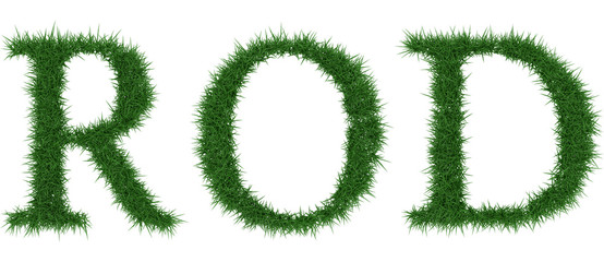 Rod - 3D rendering fresh Grass letters isolated on whhite background.