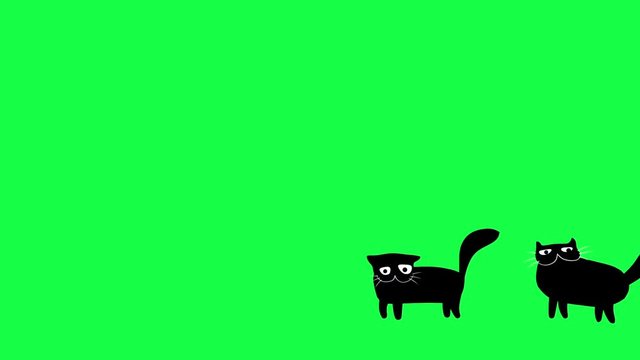 Cartoon walking crazy black cats 2D animation on green screen. Funny collection cute pet characters.  Animated digital video. Motion graphics for VJ loops and music clips. Creepy animal for Halloween.