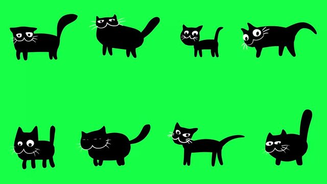 Walking cartoon black cats. Looped 2D animation on green screen. Funny collection characters. Animated digital drawn pets. Motion graphics for VJ loops and music clips. Creepy animals for Halloween. 