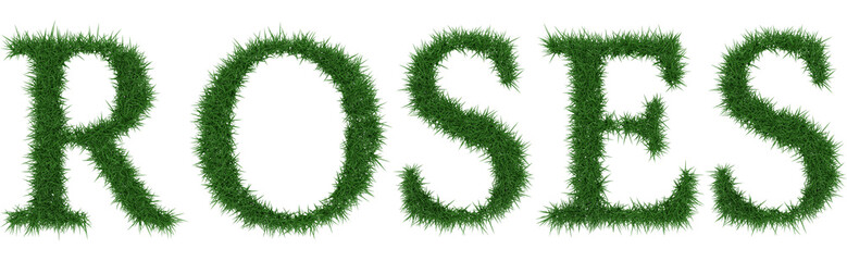 Roses - 3D rendering fresh Grass letters isolated on whhite background.