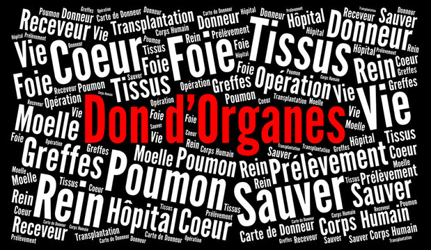 Don d'organes nuage de de mots 