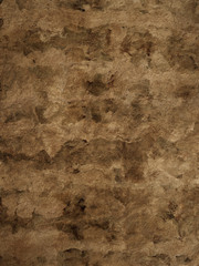 Textured cork background