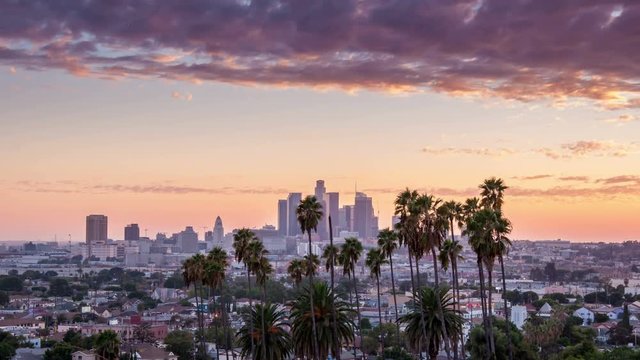 Day to night transition time lapse Los Angeles downtown and palm trees in foreground
