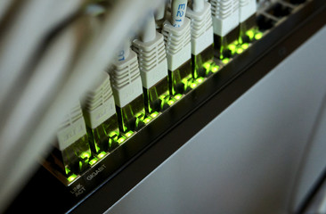 gigabit ethernet connection