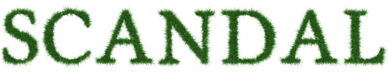 Scandal - 3D rendering fresh Grass letters isolated on whhite background.