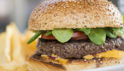 Macro image of burger with freies on the side