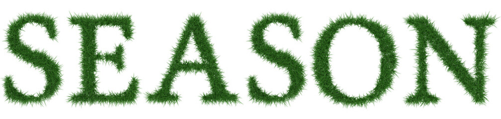 Season - 3D rendering fresh Grass letters isolated on whhite background.