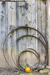Pumpkin sitting outside of rusty vintage parts and weathered wooden doors