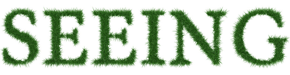 Seeing - 3D rendering fresh Grass letters isolated on whhite background.