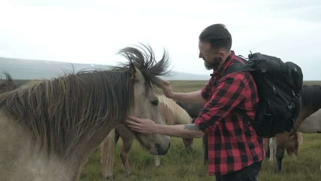 Icelandic horses are a hipster guy caressing a horse in Iceland. smiling happy with a horse in beautiful nature in Iceland.