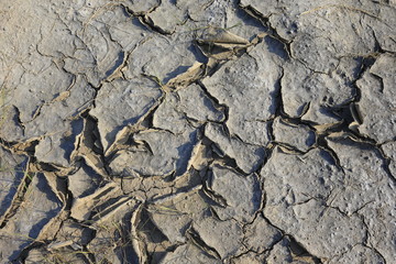 Climate warming dry chapped land