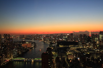 Fototapeta premium 東京の夜景