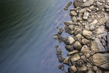 rocks on the shore