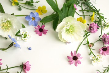 Obraz na płótnie Canvas カラフルな春の花の花びら、ナチュラル