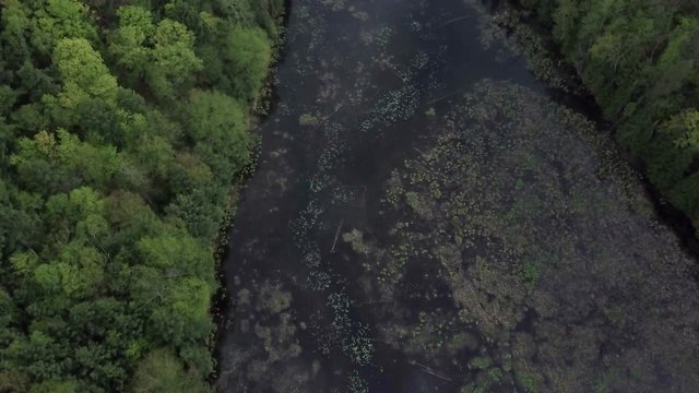 Aerial flyover of swampy lake in forest of northern canada