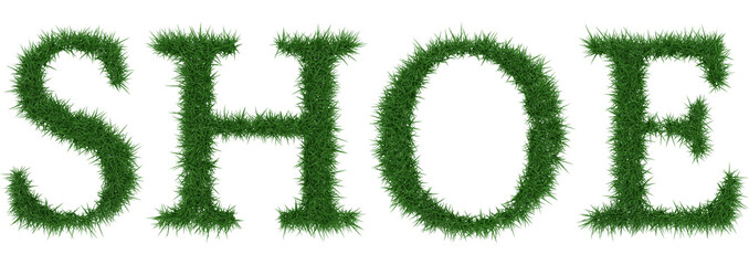 Shoe - 3D rendering fresh Grass letters isolated on whhite background.
